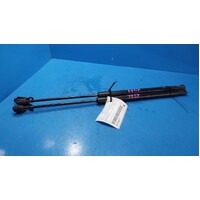 Ford Fiesta Ws-Wz  Pair Of Tailgate Struts