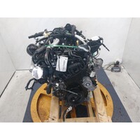 Ford Ranger Ra Diesel 2.0 154kw Bi-Turbo Engine  Used