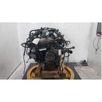Nissan Patrol Y61/Gu 3.0 Zd30 Turbo Diesel Engine  Used