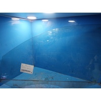 Volkswagen Tiguan 5 N, Left Front Door Window
