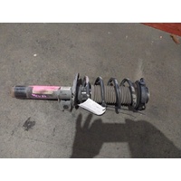 Volkswagen Tiguan 5N  Left Front Strut