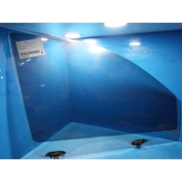 Mitsubishi Triton Mn Right Front Door Window