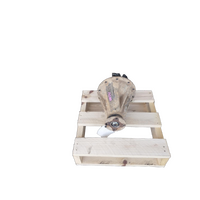 Toyota Prado 120 Series  Rear Diff Centre