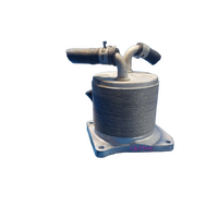 Nissan Dualis J10 Cooler