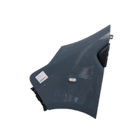 Renault Trafic X82, Left Guard