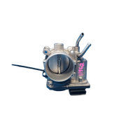 Hyundai I30, Ix35, I45, I40, Tucson, Elantra, Kia Cerato, Sportage, Petrol, 1.8/2.0 Throttle Body
