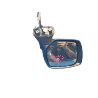 Subaru Outback, Liberty Left Door Mirror