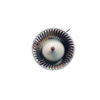 Ford Territory Falcon, Him Module Heater Fan Motor