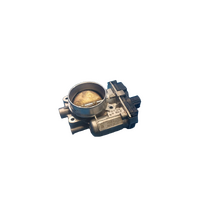 Holden Commodore, Statesman/Caprice Throttle Body