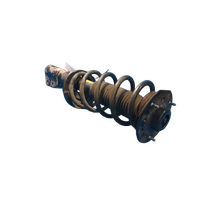 Holden Captiva Cg Left Front Strut