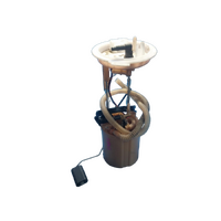 Volkswagen Tiguan 5N Fuel Pump And Sender
