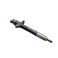 Toyota Landcruiser  200 Series,  Fuel Injector