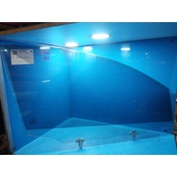 Nissan Dualis J10 Right Front Door Window