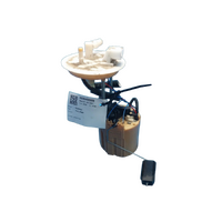 Holden Equinox Eq, Fuel Pump