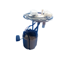 Holden Equinox Eq, Fuel Pump