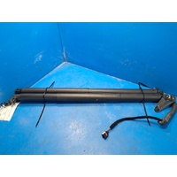 Volkswagen Tiguan 5Na Pair Of Tailgate Strut
