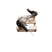 Mitsubishi Triton Mn 2.5 Diesel  3.917 Ratio Front Diff Centre