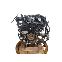Ford Ranger Ra, Diesel 3.0 Turbo 184Kw  Engine Used