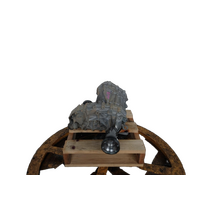 Suzuki Grand Vitara Transfer Case