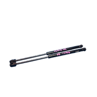 Hyundai I20 Pb Pair of Tailgate Struts