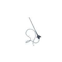 Renault Clio X98, Antenna