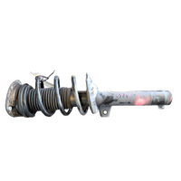 Volkswagen Tiguan 5Na, Left Front Strut