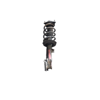 Hyundai Santa Fe Dm  Left Front Strut