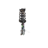 Hyundai Santa Fe Dm Right Front Strut