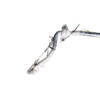 Ford Ranger Stabilizer Bar