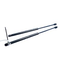 Mitsubishi Outlander Zg-Zh  Pair Of Tailgate Struts
