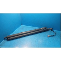Ford Everest Ua Pair Of Tailgate Struts