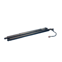 Ford Everest Ua Pair Of Tailgate Struts