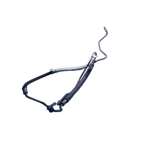 Holden Captiva Cg Diesel Power Steer Hose