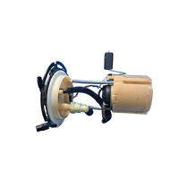 Holden Equinox Eq, Fuel Pump