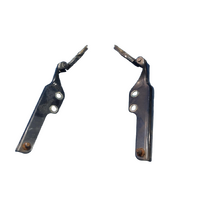 Ford Territory Sx-Sz Pair Of Tailgate Hinges