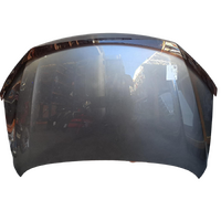 Nissan Pathfinder R52  Bonnet