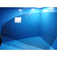Volkswagen Tiguan 5na, Left Front Door Window
