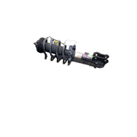 Kia Carnival/Grand Carnival  Yp, Right Front Strut