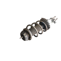 Hyundai Accent Rb Right Front Strut