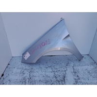 Mercedes B Class  W245,  Left Guard