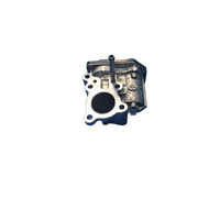 Toyota Hilux, Prado Egr Valve