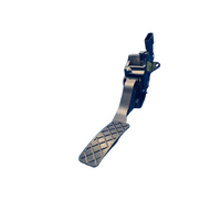 Volkswagen Polo  6R, Accelerator Pedal Assembly