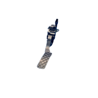 Volkswagen Polo  6R, Accelerator Pedal Assembly