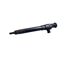 Citroen C4 Picasso  B7, Fuel Injector
