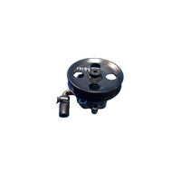 Holden Commodore 6.0 Ve, Steering Pump