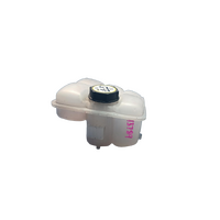 Ford Focus Kuga, Overflow Bottle