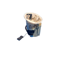 Audi A4 Fuel Pump In Tank (Pump & Sender)