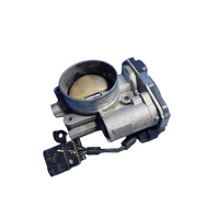Holden Commodore, Captiva Throttle Body