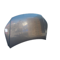 Volkswagen Tiguan 5N Bonnet