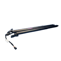 Haval H6 Pair Of Tailgate Struts